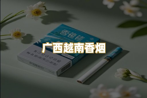 广西越南香烟